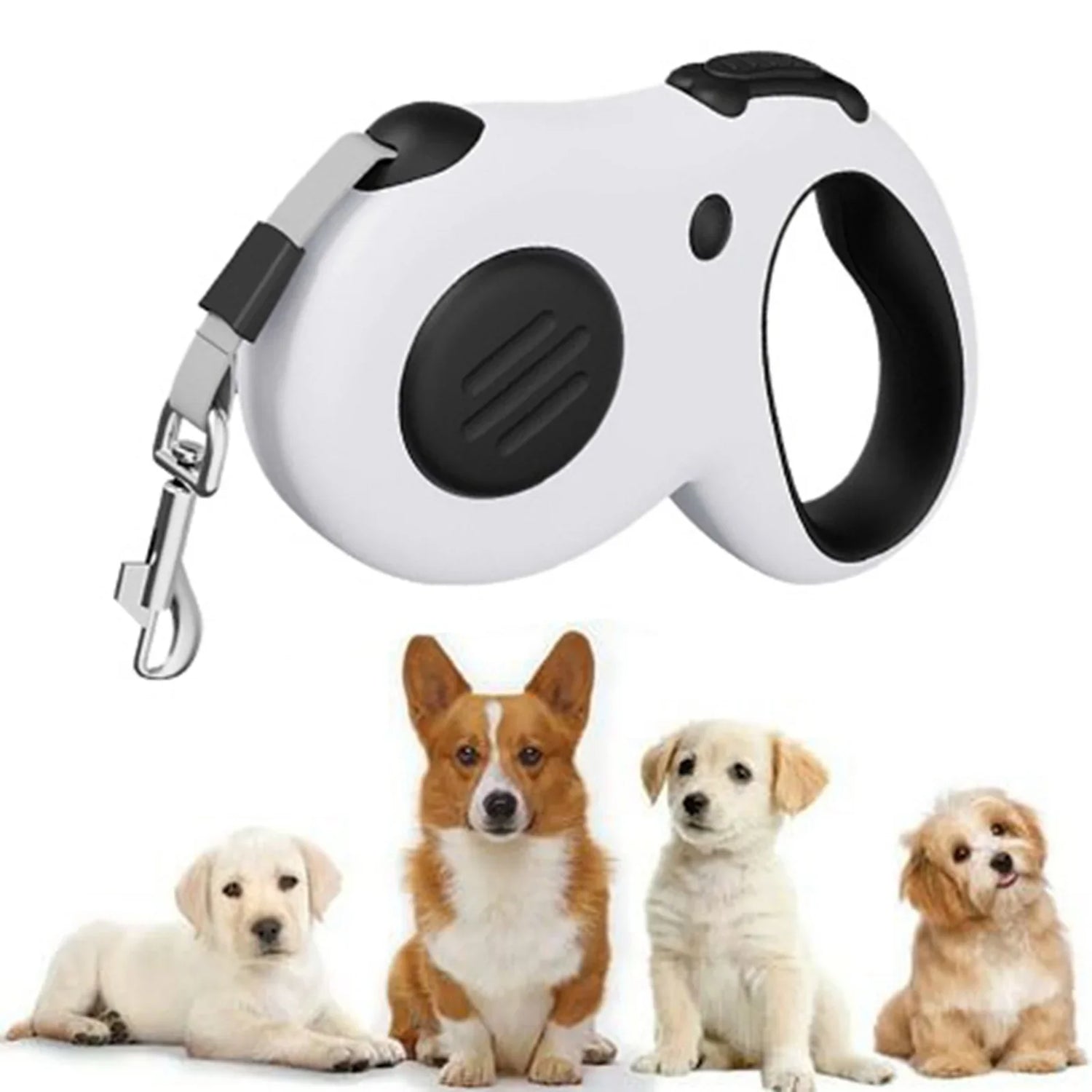 Retractable Leashes